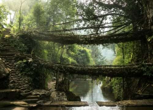 Living Root Bridges & Waterfalls Tour