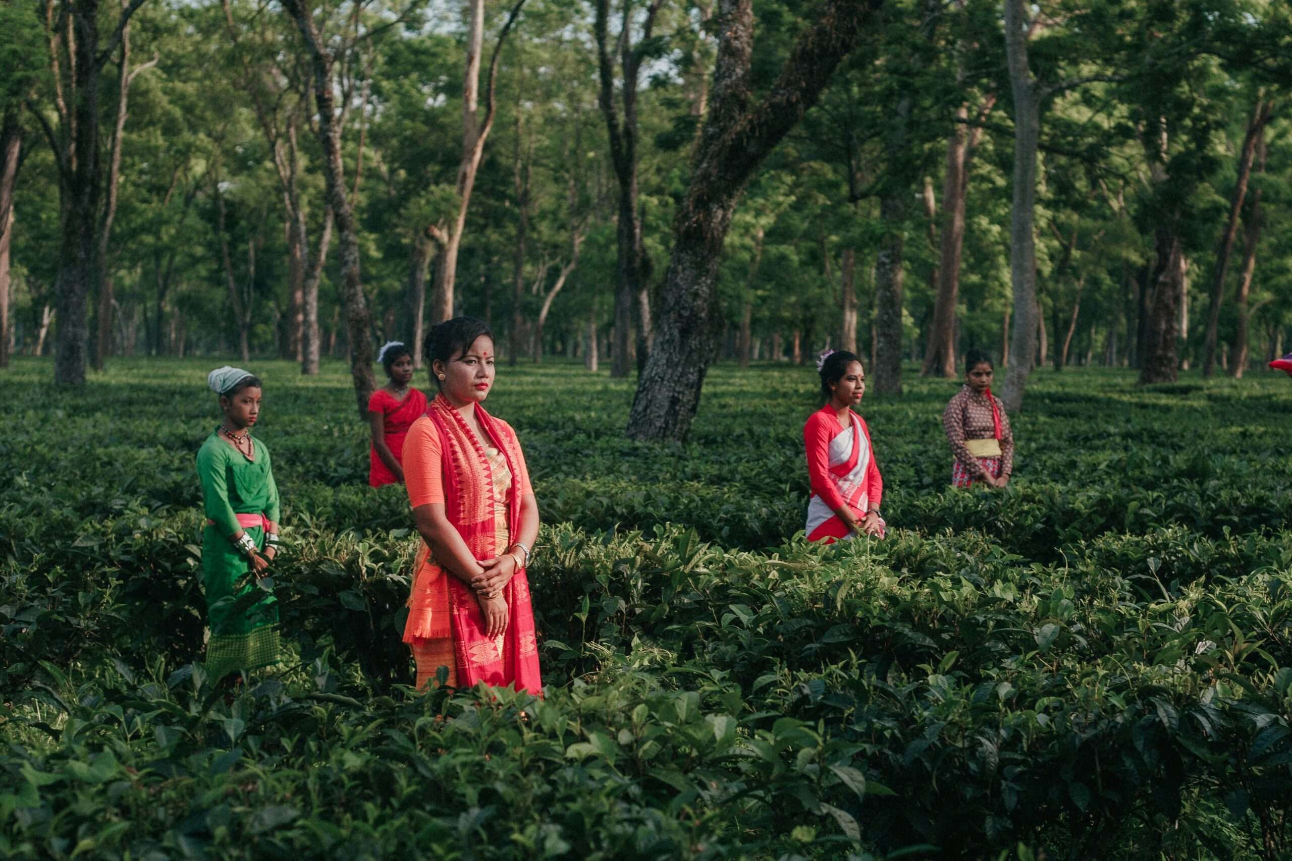 Assam Tea Garden & Culture Tour